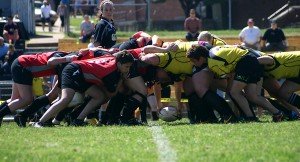 The Nashville Stone Lions (yellow) fight for possession in a scrum during their match against Knoxville. / Photo by Matthew Maxey