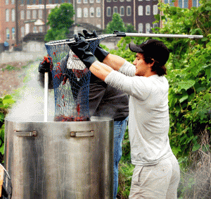 Tons of crawfish will be prepared for the 16th Annual Ragin' Cajun Crawfish Boil. PHOTO COURTESY OF RAGIN CAJUN BOIL
