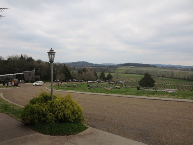 Guests can bring a picnic and enjoy the gorgeous view overlooking the vineyards. PHOTO BY CILLEA HOUGHTON